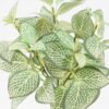 Artificial Plant 20*20*28cm leaf *7 bush GS-05524007 2024Mar YeahFlower is one of Chinese leading OEM manufacturers and exporters , supplying the silk flowers, wholesale artificial trees
