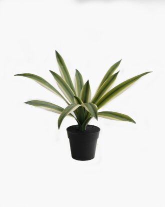 Artificial Table Plants 40*30*30 Maguey in pp pot GF-41919003R2 2024Apr YeahFlower is one of Chinese leading OEM manufacturers and exporters , supplying the silk flowers, wholesale artificial trees