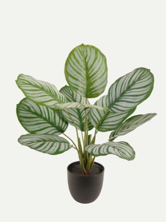 Artificial Tree 40*40*54cm Leaf *10 in PP pot GS-73224005 Tree&Plant 3,000+ sqm showroom with thousands of artificial flowers, plants & trees ready for global sourcing.