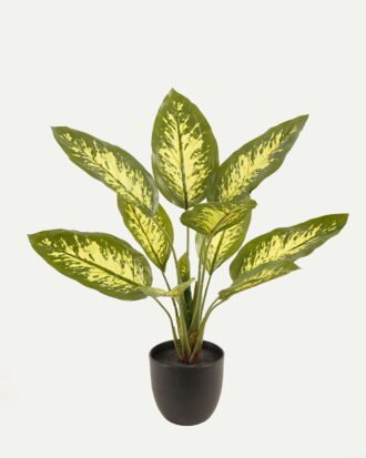 Artificial Tree 38*38*54cm Evergreen *10 in PP pot GS-73224001 2024Apr YeahFlower is one of Chinese leading OEM manufacturers and exporters , supplying the silk flowers, wholesale artificial trees Artificial Tree 38*38*54cm Evergreen *10 in PP pot GS-73224001 2024Apr YeahFlower is one of Chinese leading OEM manufacturers and exporters , supplying the silk flowers, wholesale artificial trees