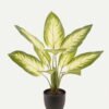 Artificial Tree 38*38*54cm Evergreen *10 in PP pot GS-73224002 2024Apr YeahFlower is one of Chinese leading OEM manufacturers and exporters , supplying the silk flowers, wholesale artificial trees