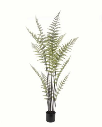 Artificial Tree 80*80*170cm Fern leaf  in PP pot/15 lvs GS-73224009 2024Apr YeahFlower is one of Chinese leading OEM manufacturers and exporters , supplying the silk flowers, wholesale artificial trees
