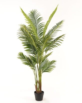 Artificial Tree 70*70*160cm Kwai tree in PP pot/16 lvs GS-595241004 2024Mar YeahFlower is one of Chinese leading OEM manufacturers and exporters , supplying the silk flowers, wholesale artificial trees