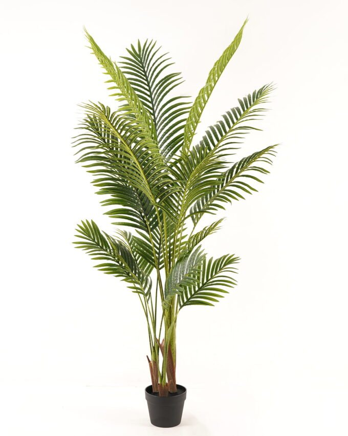 Artificial Tree 70*70*160cm Kwai tree in PP pot/16 lvs GS-595241004 2024Mar YeahFlower is one of Chinese leading OEM manufacturers and exporters , supplying the silk flowers, wholesale artificial trees