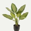 Artificial Tree Leaf 10 in PP pot GS-73224003_9 Artificial Tree 40*40*54cm Leaf *10 in PP pot GS-73224003 2024Apr YeahFlower is one of Chinese leading OEM manufacturers and exporters , supplying the silk flowers, wholesale artificial trees