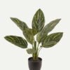 Artificial Tree Leaf 10 in PP pot GS-73224005_1 Artificial Tree 40*40*54cm Leaf *10 in PP pot GS-73224005 2024Apr YeahFlower is one of Chinese leading OEM manufacturers and exporters , supplying the silk flowers, wholesale artificial trees