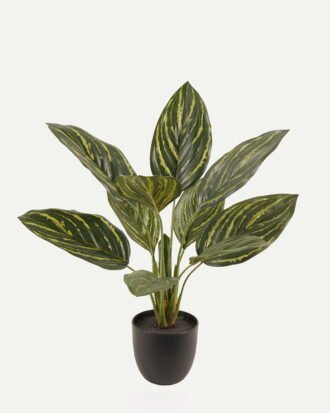 Artificial Tree 40*40*54cm Leaf *10 in PP pot GS-73224005 2024Apr YeahFlower is one of Chinese leading OEM manufacturers and exporters , supplying the silk flowers, wholesale artificial trees Artificial Tree 40*40*54cm Leaf *10 in PP pot GS-73224005 2024Apr YeahFlower is one of Chinese leading OEM manufacturers and exporters , supplying the silk flowers, wholesale artificial trees