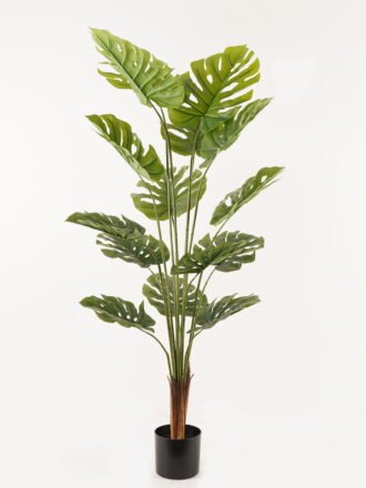 Artificial Tree 77*77*180cm Sterlitzia in PP pot/12 lvs GS-595241001 Tree&Plant 3,000+ sqm showroom with thousands of artificial flowers, plants & trees ready for global sourcing.