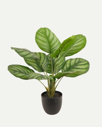 Artificial Tree 36*36*50cm Watermelon Leaves *10 in PP pot GS-73224007 2024Apr YeahFlower is one of Chinese leading OEM manufacturers and exporters , supplying the silk flowers, wholesale artificial trees Artificial Tree 36*36*50cm Watermelon Leaves *10 in PP pot GS-73224007 2024Apr YeahFlower is one of Chinese leading OEM manufacturers and exporters , supplying the silk flowers, wholesale artificial trees