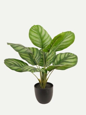 Artificial Tree 36*36*50cm Apple Leaves *10 in PP pot GS-73224006 Tree&Plant 3,000+ sqm showroom with thousands of artificial flowers, plants & trees ready for global sourcing.