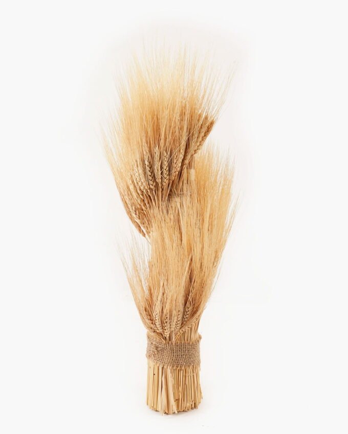 Dried Flowers 60cm Dried natura flower GS-56623015 2024Mar YeahFlower is one of Chinese leading OEM manufacturers and exporters , supplying the silk flowers, wholesale artificial trees