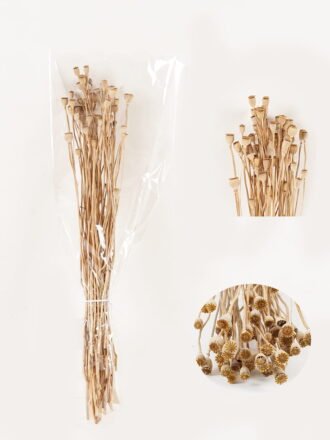 Dried Flowers 18*55cm Fruit bundle GS-56624002 Bouquet 3,000+ sqm showroom with thousands of artificial flowers, plants & trees ready for global sourcing.
