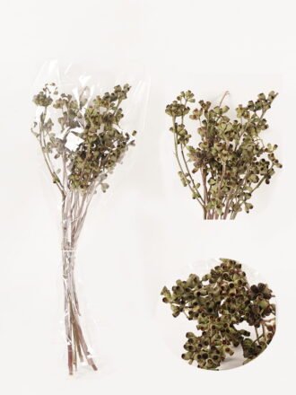 Dried Flowers 8*50cm Coquelicot bundle GS-56624003 Bouquet 3,000+ sqm showroom with thousands of artificial flowers, plants & trees ready for global sourcing.