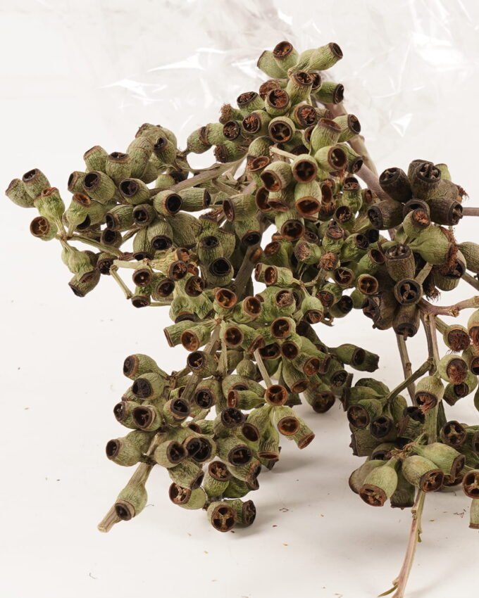 Dried Flowers 18*55cm Fruit bundle GS-56624002 2024Mar YeahFlower is one of Chinese leading OEM manufacturers and exporters , supplying the silk flowers, wholesale artificial trees