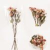Dried Flowers 12*40cm Rose *6 bundle GS-56624001 2024Mar YeahFlower is one of Chinese leading OEM manufacturers and exporters , supplying the silk flowers, wholesale artificial trees