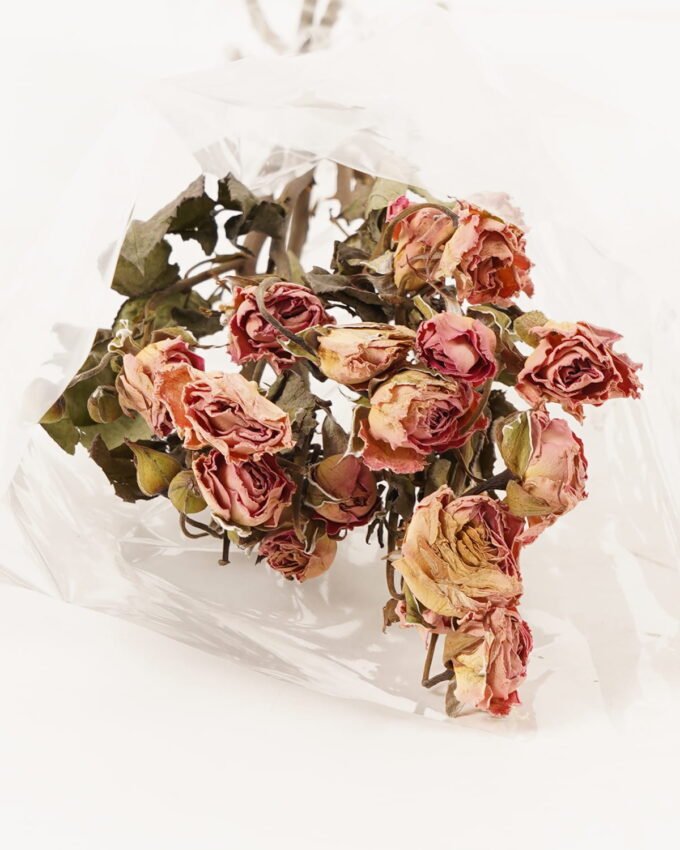 Dried Flowers 12*40cm Rose *6 bundle GS-56624001 2024Mar YeahFlower is one of Chinese leading OEM manufacturers and exporters , supplying the silk flowers, wholesale artificial trees