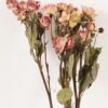 Dried Flowers 12*40cm Rose *6 bundle GS-56624001 2024Mar YeahFlower is one of Chinese leading OEM manufacturers and exporters , supplying the silk flowers, wholesale artificial trees