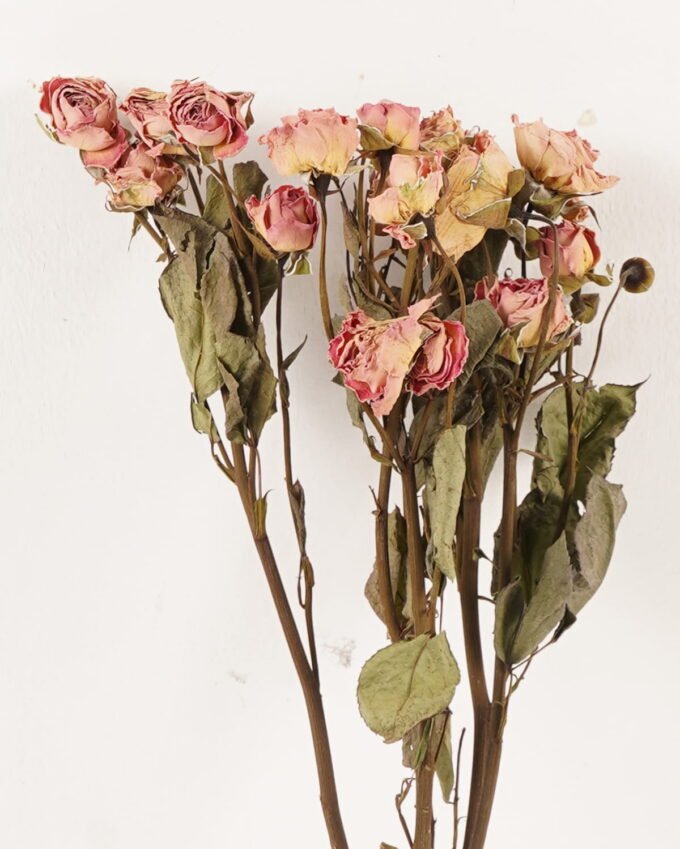 Dried Flowers 12*40cm Rose *6 bundle GS-56624001 2024Mar YeahFlower is one of Chinese leading OEM manufacturers and exporters , supplying the silk flowers, wholesale artificial trees