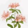 Artificial Flower 18*18*65cm Azalea *3  single stem GS-73324005-P2 2024Apr YeahFlower is one of Chinese leading OEM manufacturers and exporters , supplying the silk flowers, wholesale artificial trees