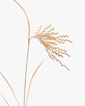 Artificial Flower 10*10*72cm Paddy single stem GS-16824001-R1 2024Apr YeahFlower is one of Chinese leading OEM manufacturers and exporters , supplying the silk flowers, wholesale artificial trees