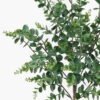 Artificial Plant 47*47*77cm Eucalyptus bush GS-73424006 2024Apr YeahFlower is one of Chinese leading OEM manufacturers and exporters , supplying the silk flowers, wholesale artificial trees