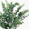 Artificial Plant 26*26*56cm Eucalyptus bush GS-73424007 2024Apr YeahFlower is one of Chinese leading OEM manufacturers and exporters , supplying the silk flowers, wholesale artificial trees
