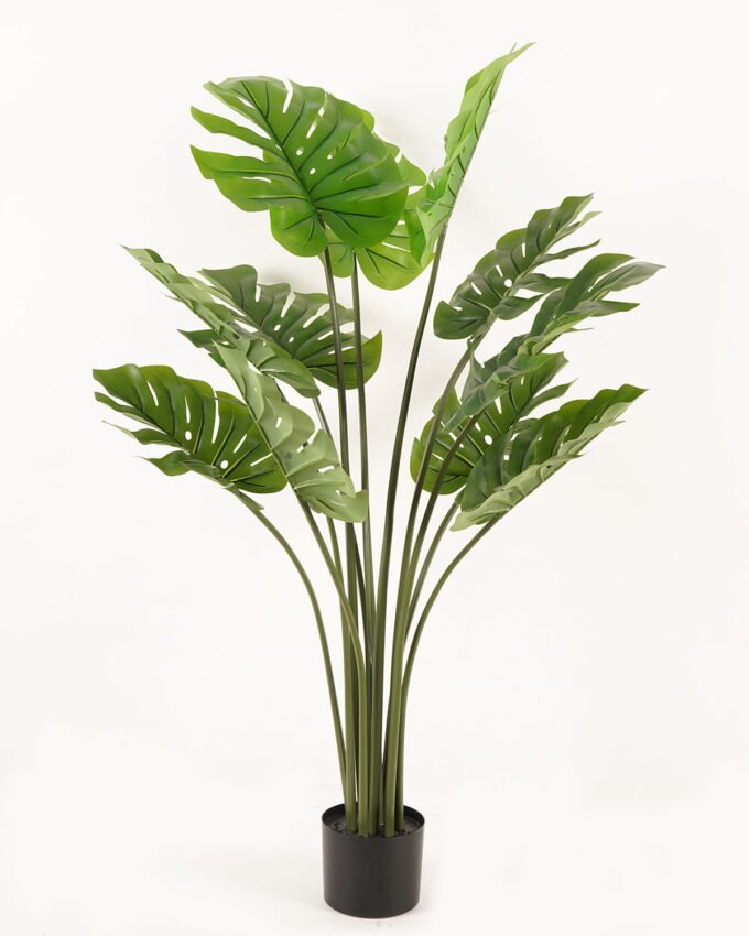 Artificial Tree 80*80*120CM Monstera deliciosa in PP pot GS-30424001 2024Apr YeahFlower is one of Chinese leading OEM manufacturers and exporters , supplying the silk flowers, wholesale artificial trees