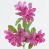 Artificial Flower Azalea 3 single stem GS-73324005-Z1_4 Artificial Flower 18*18*65cm Azalea *3 single stem GS-73324005-Z1 2024May YeahFlower is one of Chinese leading OEM manufacturers and exporters , supplying the silk flowers, wholesale artificial trees