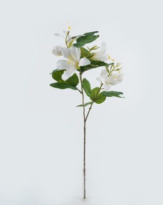 Artificial Flower 33*33*83cm Bauhinia flower*2 single stem GS-14524005-W1 2024May YeahFlower is one of Chinese leading OEM manufacturers and exporters , supplying the silk flowers, wholesale artificial trees Artificial Flower 33*33*83cm Bauhinia flower*2 single stem GS-14524005-W1 2024May YeahFlower is one of Chinese leading OEM manufacturers and exporters , supplying the silk flowers, wholesale artificial trees