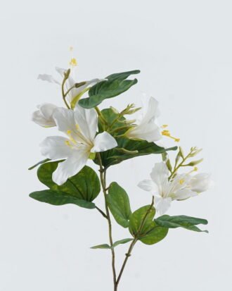 Artificial Flower 33*33*83cm Bauhinia flower*2 single stem GS-14524005-W1 2024May YeahFlower is one of Chinese leading OEM manufacturers and exporters , supplying the silk flowers, wholesale artificial trees Artificial Flower 33*33*83cm Bauhinia flower*2 single stem GS-14524005-W1 2024May YeahFlower is one of Chinese leading OEM manufacturers and exporters , supplying the silk flowers, wholesale artificial trees