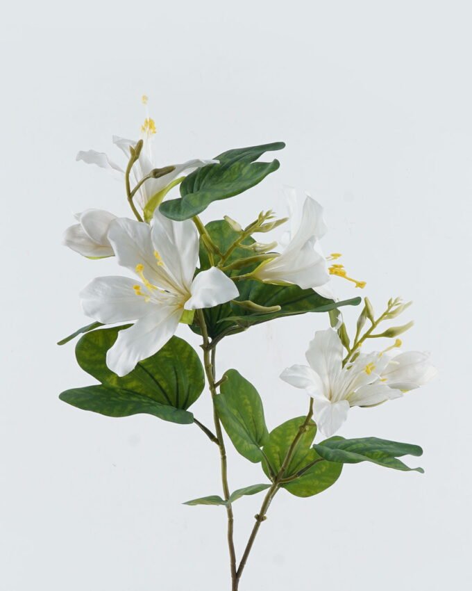 Artificial Flower 33*33*83cm Bauhinia flower*2 single stem GS-14524005-W1 2024May YeahFlower is one of Chinese leading OEM manufacturers and exporters , supplying the silk flowers, wholesale artificial trees