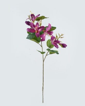 Artificial Flower 33*33*83cm Bauhinia flower*2 single stem GS-14524005-Z1 2024May YeahFlower is one of Chinese leading OEM manufacturers and exporters , supplying the silk flowers, wholesale artificial trees Artificial Flower 33*33*83cm Bauhinia flower*2 single stem GS-14524005-Z1 2024May YeahFlower is one of Chinese leading OEM manufacturers and exporters , supplying the silk flowers, wholesale artificial trees