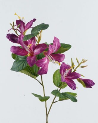 Artificial Flower 33*33*83cm Bauhinia flower*2 single stem GS-14524005-Z1 2024May YeahFlower is one of Chinese leading OEM manufacturers and exporters , supplying the silk flowers, wholesale artificial trees Artificial Flower 33*33*83cm Bauhinia flower*2 single stem GS-14524005-Z1 2024May YeahFlower is one of Chinese leading OEM manufacturers and exporters , supplying the silk flowers, wholesale artificial trees