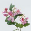 Artificial Flower Bauhinia flower 2 single stem GS-14524005_2 Artificial Flower 33*33*83cm Bauhinia flower*2 single stem GS-14524005 2024May YeahFlower is one of Chinese leading OEM manufacturers and exporters , supplying the silk flowers, wholesale artificial trees