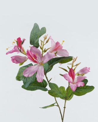 Artificial Flower 33*33*83cm Bauhinia flower*2 single stem GS-14524005 2024May YeahFlower is one of Chinese leading OEM manufacturers and exporters , supplying the silk flowers, wholesale artificial trees Artificial Flower 33*33*83cm Bauhinia flower*2 single stem GS-14524005 2024May YeahFlower is one of Chinese leading OEM manufacturers and exporters , supplying the silk flowers, wholesale artificial trees