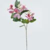 Artificial Flower Bauhinia flower 2 single stem GS-14524005_3 Artificial Flower 33*33*83cm Bauhinia flower*2 single stem GS-14524005 2024May YeahFlower is one of Chinese leading OEM manufacturers and exporters , supplying the silk flowers, wholesale artificial trees