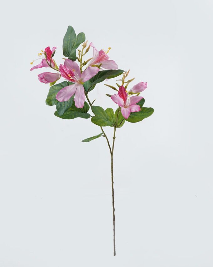 Artificial Flower Bauhinia flower 2 single stem GS-14524005_3 Artificial Flower 33*33*83cm Bauhinia flower*2 single stem GS-14524005 2024May YeahFlower is one of Chinese leading OEM manufacturers and exporters , supplying the silk flowers, wholesale artificial trees