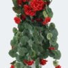 Artificial Flower Begonia 11 bush GS-69323007-R2_4 Artificial Flower 36*36*105cm Begonia *11 bush GS-69323007-R2 2024May YeahFlower is one of Chinese leading OEM manufacturers and exporters , supplying the silk flowers, wholesale artificial trees