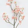 Artificial Flower 22*22*90cm Begonia single stem GS-71224011-P2 2024May YeahFlower is one of Chinese leading OEM manufacturers and exporters , supplying the silk flowers, wholesale artificial trees