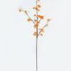 Artificial Flower Begonia single stem GS-71224030-O1_3 Artificial Flower 25*25*108cm Begonia single stem GS-71224030-O1 2024May YeahFlower is one of Chinese leading OEM manufacturers and exporters , supplying the silk flowers, wholesale artificial trees