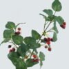 Artificial Flower 23*23*76cm Berry*3 single stem GS-14524002-R1 2024May YeahFlower is one of Chinese leading OEM manufacturers and exporters , supplying the silk flowers, wholesale artificial trees