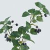 Artificial Flower Berry 3 single stem GS-14524002-Z1_5 Artificial Flower 23*23*76cm Berry*3 single stem GS-14524002-Z1 2024May YeahFlower is one of Chinese leading OEM manufacturers and exporters , supplying the silk flowers, wholesale artificial trees
