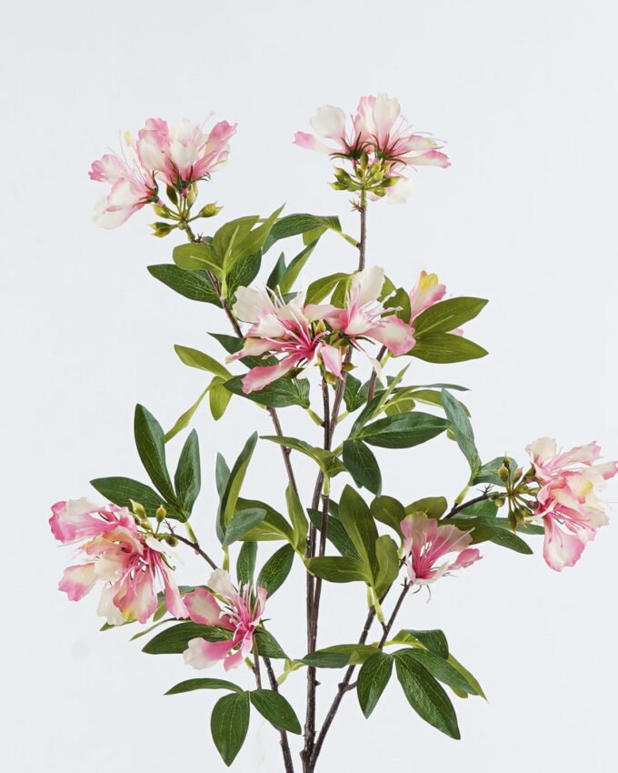 Artificial Flower 27*27*103cm Delonix regia single stem GS-74424022-P1 2024Jun YeahFlower is one of Chinese leading OEM manufacturers and exporters , supplying the silk flowers, wholesale artificial trees