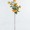Artificial Flower Delonix regia single stem GS-74424022-Y1 Artificial Flower 27*27*103cm Delonix regia single stem GS-74424022-Y1 2024Jun YeahFlower is one of Chinese leading OEM manufacturers and exporters , supplying the silk flowers, wholesale artificial trees