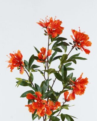 Artificial Flower 27*27*103cm Delonix regia single stem GS-74424022 2024Jun YeahFlower is one of Chinese leading OEM manufacturers and exporters , supplying the silk flowers, wholesale artificial trees