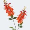 Artificial Flower 18*18*104cm Erythrina indica*2 single stem GS-71224006-O1 2024May YeahFlower is one of Chinese leading OEM manufacturers and exporters , supplying the silk flowers, wholesale artificial trees