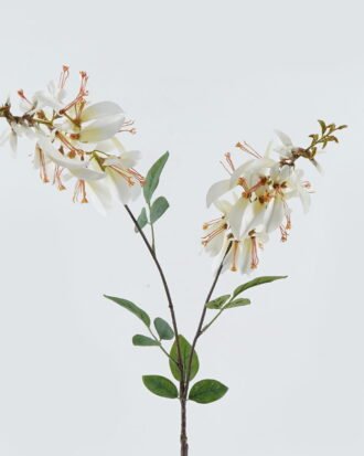 Artificial Flower 23*23*90cm Erythrina indica*2 single stem GS-71224014 2024May YeahFlower is one of Chinese leading OEM manufacturers and exporters , supplying the silk flowers, wholesale artificial trees Artificial Flower 23*23*90cm Erythrina indica*2 single stem GS-71224014 2024May YeahFlower is one of Chinese leading OEM manufacturers and exporters , supplying the silk flowers, wholesale artificial trees