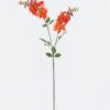 Artificial Flower 23*23*90cm Erythrina indica*2 single stem GS-71224014 2024May YeahFlower is one of Chinese leading OEM manufacturers and exporters , supplying the silk flowers, wholesale artificial trees