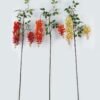 Artificial Flower 20*20*192cm Erythrina indica single stem GS-71224015-O1 2024May YeahFlower is one of Chinese leading OEM manufacturers and exporters , supplying the silk flowers, wholesale artificial trees