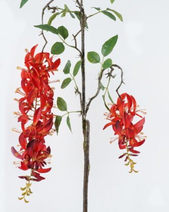 Artificial Flower 20*20*192cm Erythrina indica single stem GS-71224015-R1 2024May YeahFlower is one of Chinese leading OEM manufacturers and exporters , supplying the silk flowers, wholesale artificial trees
